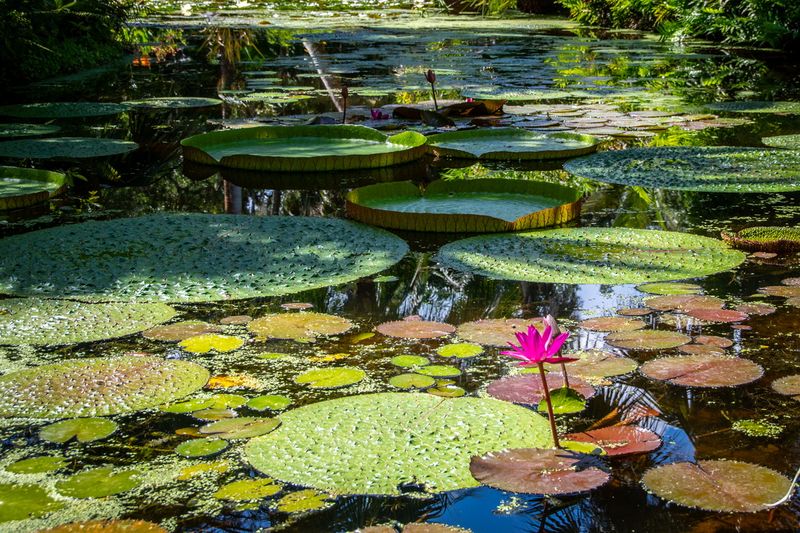 McKee Gardens-8.jpg