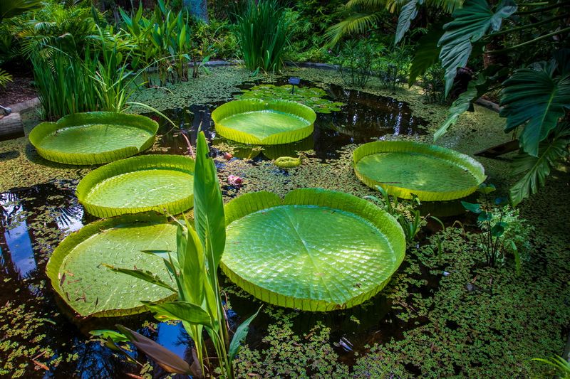 McKee Gardens-21.jpg