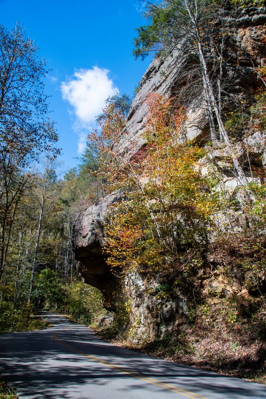 Kentucky Lexington Area 2025