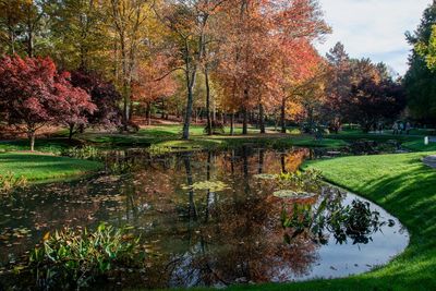 Gibbs Gardens-1.jpg
