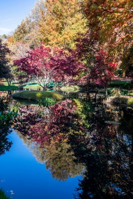 Gibbs Gardens-10.jpg
