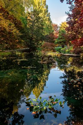 Gibbs Gardens-13.jpg