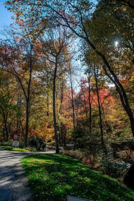 Gibbs Gardens-14.jpg