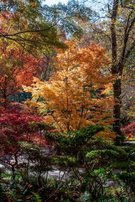 Gibbs Gardens-16.jpg