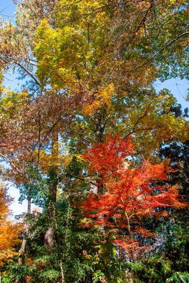 Gibbs Gardens-17.jpg