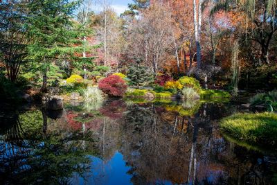 Gibbs Gardens-18.jpg