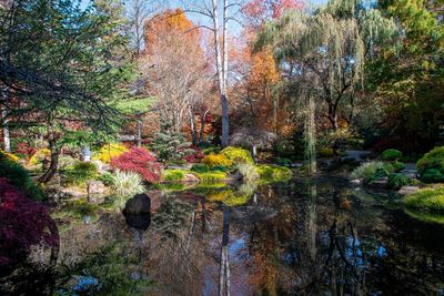 Gibbs Gardens-19.jpg