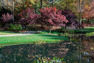 Gibbs Gardens-2.jpg