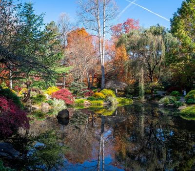 Gibbs Gardens-20.jpg