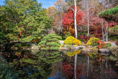 Gibbs Gardens-21.jpg