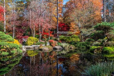 Gibbs Gardens-22.jpg