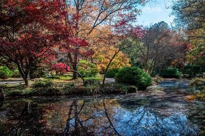 Gibbs Gardens-24.jpg