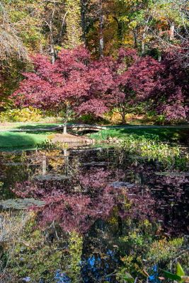 Gibbs Gardens-4.jpg