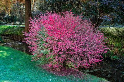 Gibbs Gardens-5.jpg