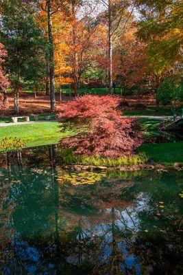 Gibbs Gardens-6.jpg