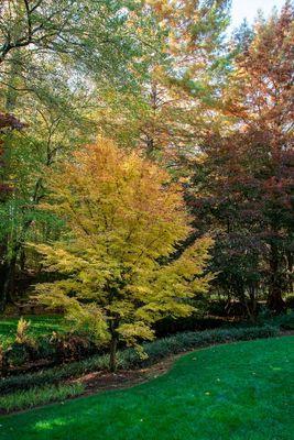 Gibbs Gardens-9.jpg