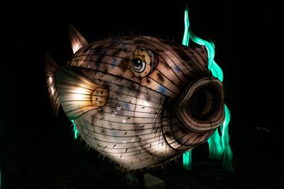 Lantern Fest 2022-31.jpg