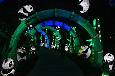 Lantern Fest 2022-49.jpg