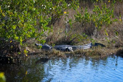 Black Point Dr_-19.jpg