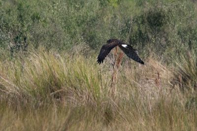 Black Point Dr_-20.jpg