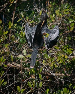 Black Point Dr_-5.jpg