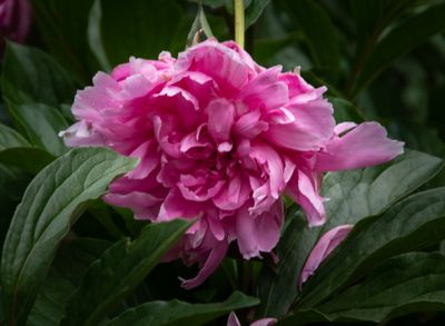 The Hermatage_055.jpg