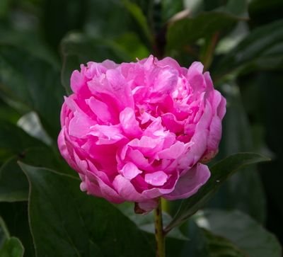 The Hermatage_084.jpg