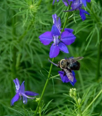 The Hermatage_087.jpg