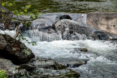 Smokey Mtn NP_041.jpg
