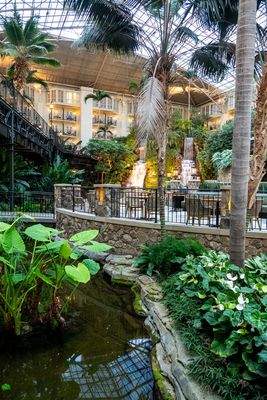 Gaylord Opryland_11.jpg