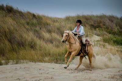 Horses On The Beach_1.jpg