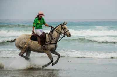 Horses On The Beach_7.jpg