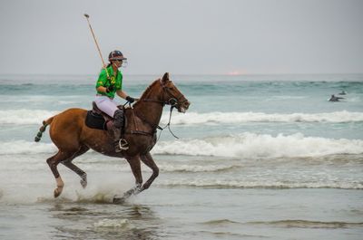 Horses On The Beach_8.jpg