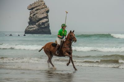 Horses On The Beach_9.jpg