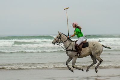 Horses On The Beach_10.jpeg