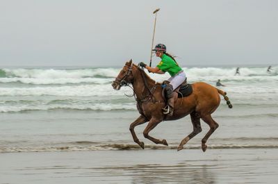 Horses On The Beach_11.jpg