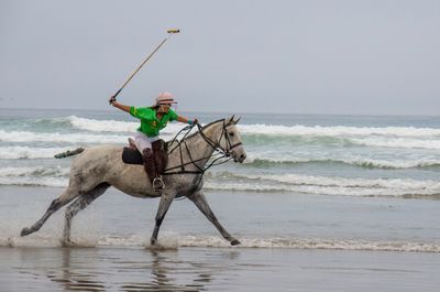 Horses On The Beach_12.jpg