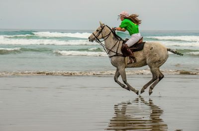 Horses On The Beach_13.jpg