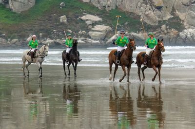 Horses On The Beach_14.jpg