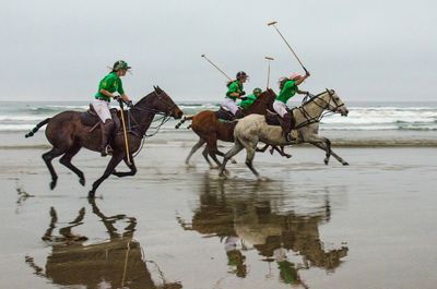 Horses On The Beach_16.jpg