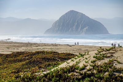 Cayucos Pier Morning Shoot_02.JPG