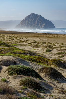 Cayucos Pier Morning Shoot_01.JPG