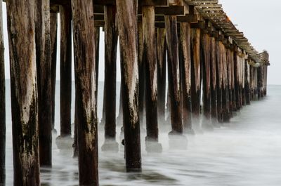 Cayucos Pier Morning Shoot_17.JPG