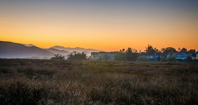 Sunny Acres Farm Shoot.jpg