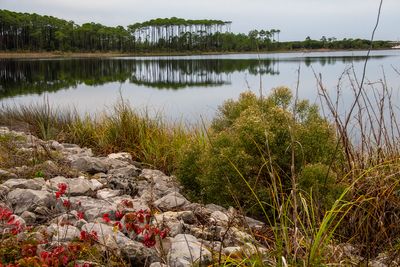 Emerald Bay Destin FL-20.jpg