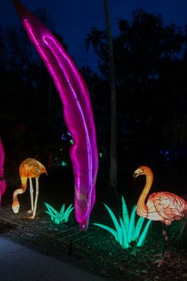 Lantern Festival 0001.jpg
