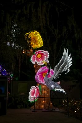 Lantern Festival 0008.jpg