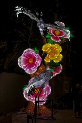 Lantern Festival 0009.jpg
