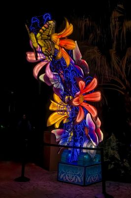 Lantern Festival 0011.jpg