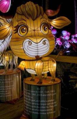 Lantern Festival 0016.jpg